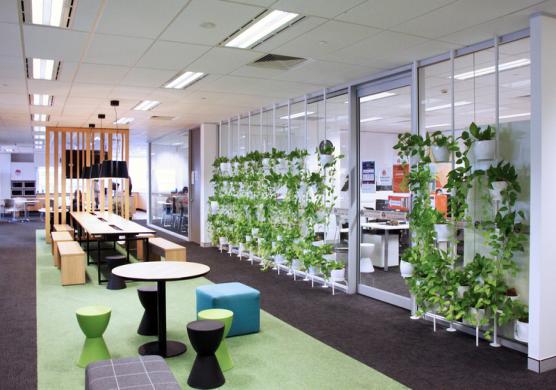 Greystone College Sydney 專業證書